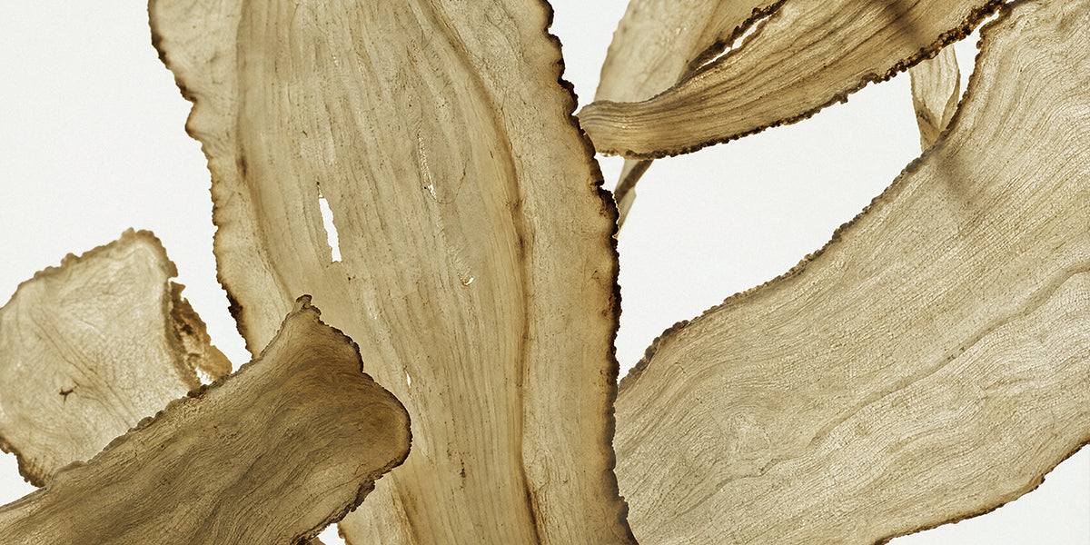 Atmosphere-Incense_Dang-Gui-Cropped-CAMPHORIC.webp