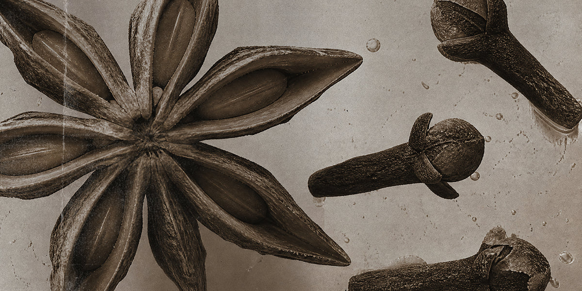 Atmosphere-Spices-Scanned_Cropped.webp